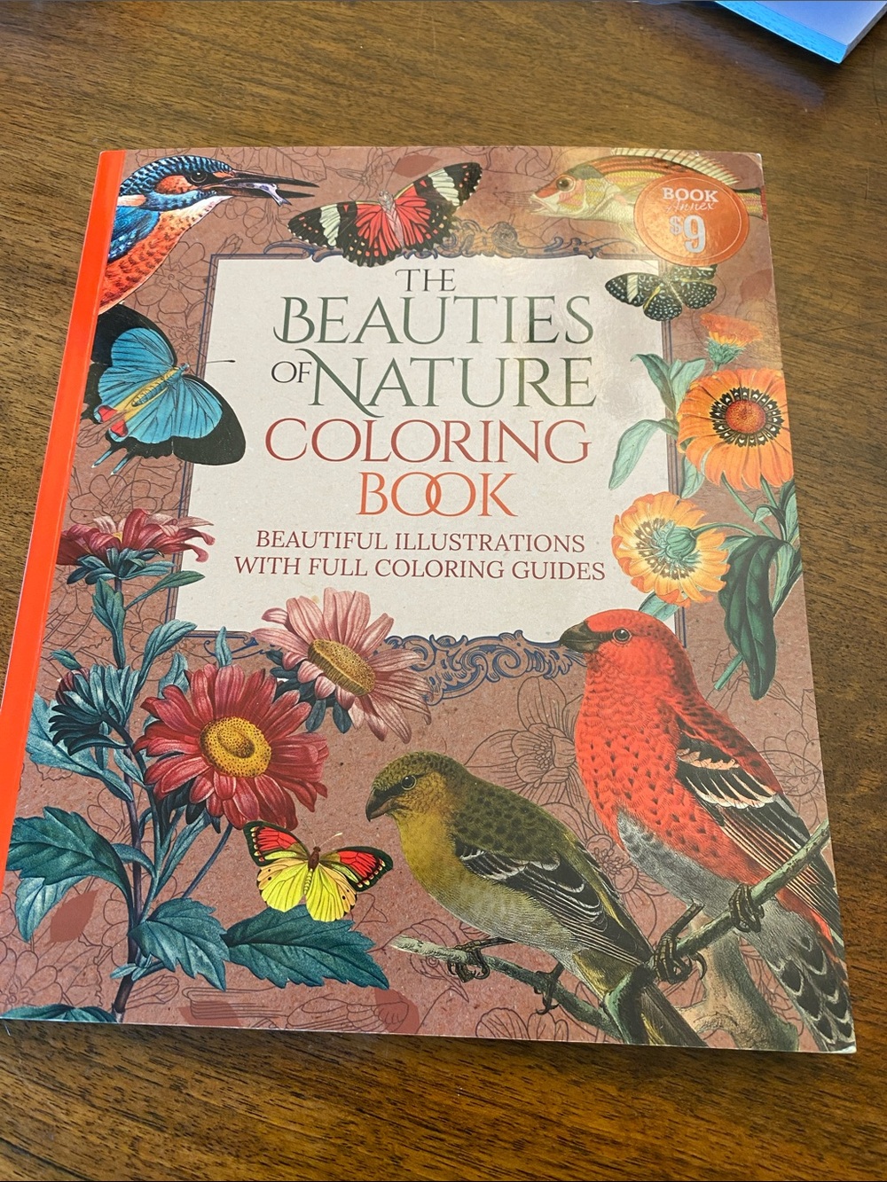 FREE Adult Coloring Book
